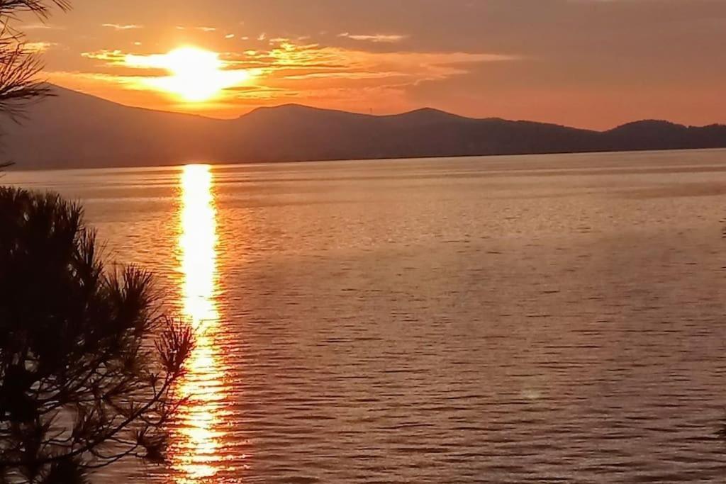 Zadar Center Beach Apartment - Directly On The Sea Eksteriør billede