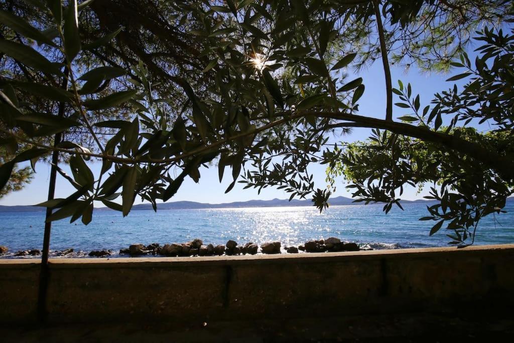 Zadar Center Beach Apartment - Directly On The Sea Eksteriør billede